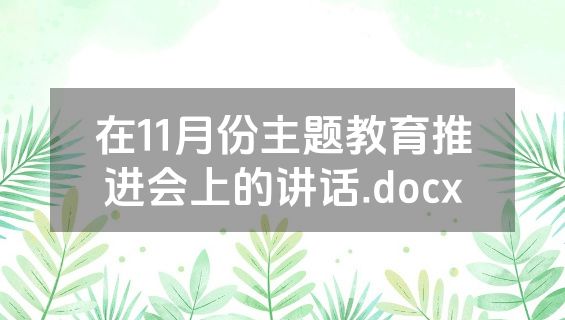 在11月份主题教育推进会上的讲话.docx
