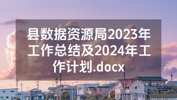 县数据资源局2023年工作总结及2024年工作计划.docx