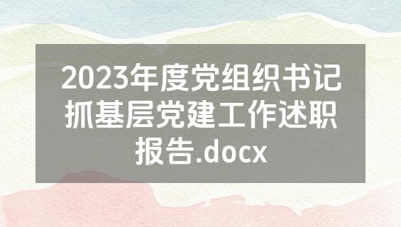 2023年度党组织书记抓基层党建工作述职报告.docx