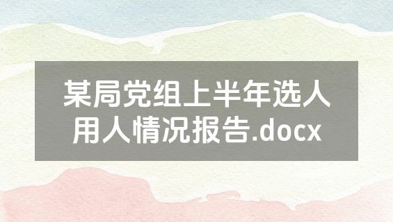 某局党组上半年选人用人情况报告.docx