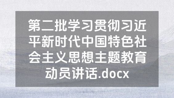 第二批学习贯彻习近平新时代中国特色社会主义思想主题教育动员讲话.docx