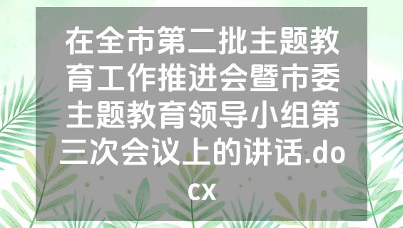 在全市第二批主题教育工作推进会暨市委主题教育领导小组第三次会议上的讲话.docx