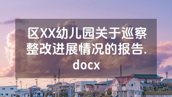 区XX幼儿园关于巡察整改进展情况的报告.docx