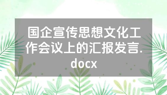 国企宣传思想文化工作会议上的汇报发言.docx