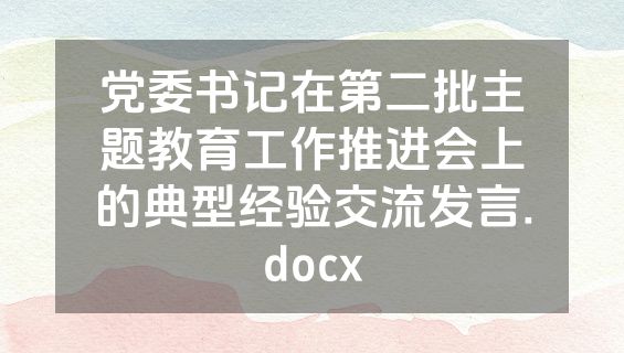 党委书记在第二批主题教育工作推进会上的典型经验交流发言.docx