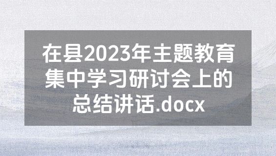 在县2023年主题教育集中学习研讨会上的总结讲话.docx