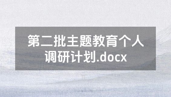 第二批主题教育个人调研计划.docx