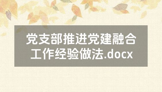 党支部推进党建融合工作经验做法.docx