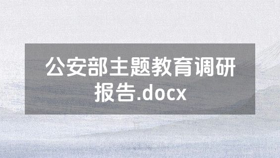 公安部主题教育调研报告.docx