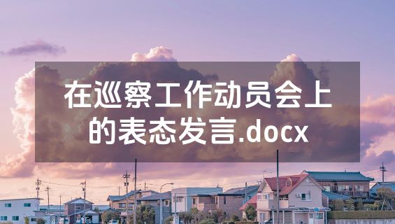 在巡察工作动员会上的表态发言.docx