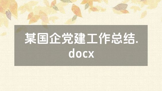 某国企党建工作总结.docx