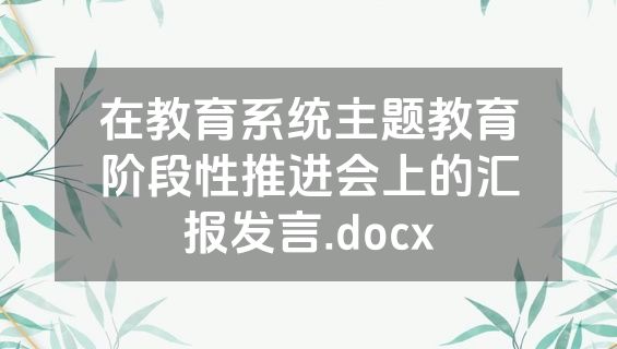 在教育系统主题教育阶段性推进会上的汇报发言.docx