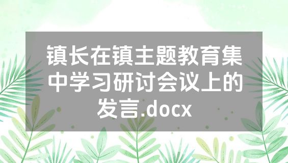 镇长在镇主题教育集中学习研讨会议上的发言.docx