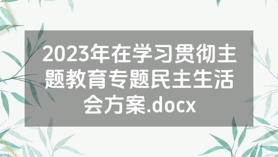 2023年在学习贯彻主题教育专题民主生活会方案.docx