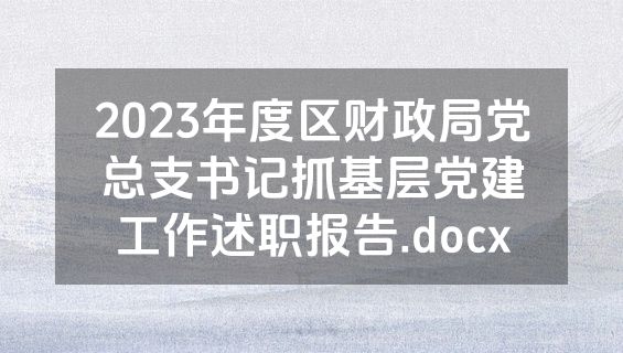 2023年度区财政局党总支书记抓基层党建工作述职报告.docx