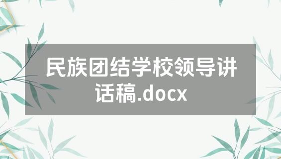 民族团结学校领导讲话稿.docx