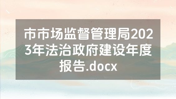 市市场监督管理局2023年法治政府建设年度报告.docx