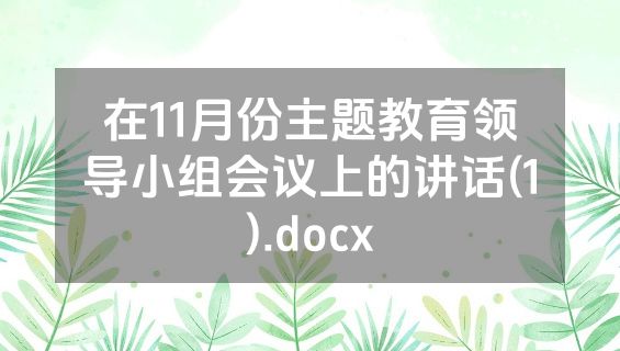在11月份主题教育领导小组会议上的讲话(1).docx