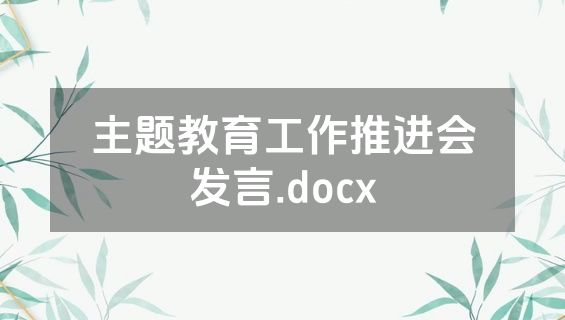 主题教育工作推进会发言.docx