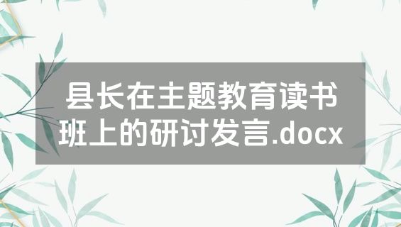 县长在主题教育读书班上的研讨发言.docx