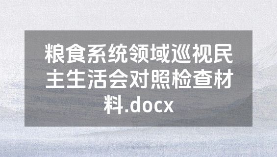 粮食系统领域巡视民主生活会对照检查材料.docx