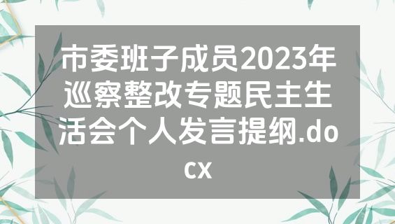 市委班子成员2023年巡察整改专题民主生活会个人发言提纲.docx