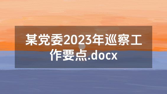 某党委2023年巡察工作要点.docx