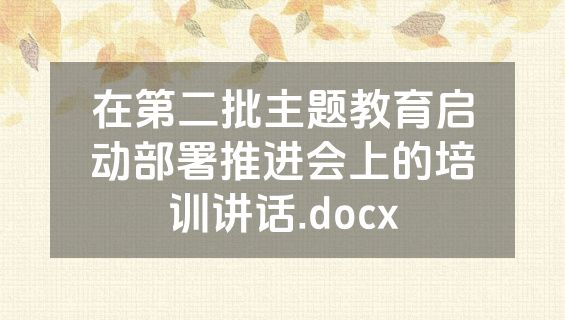 在第二批主题教育启动部署推进会上的培训讲话.docx