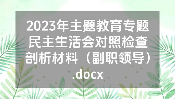 2023年主题教育专题民主生活会对照检查剖析材料（副职领导）.docx