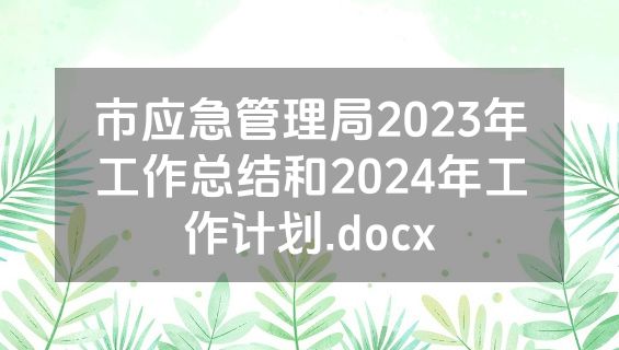 市应急管理局2023年工作总结和2024年工作计划.docx