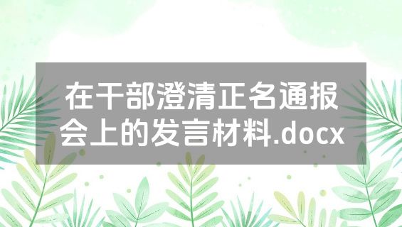 在干部澄清正名通报会上的发言材料.docx