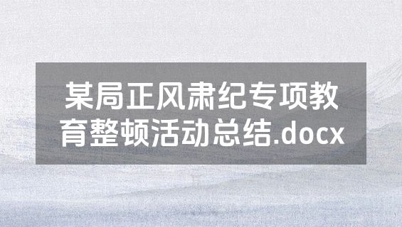 某局正风肃纪专项教育整顿活动总结.docx