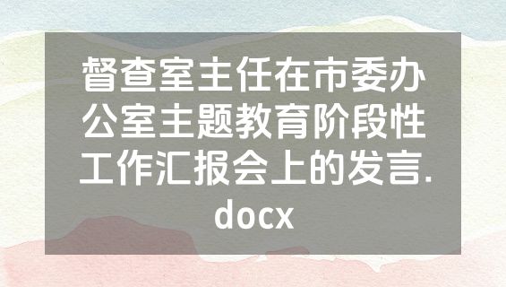 督查室主任在市委办公室主题教育阶段性工作汇报会上的发言.docx