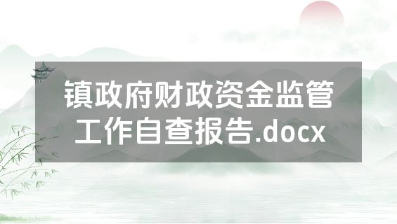 镇政府财政资金监管工作自查报告.docx