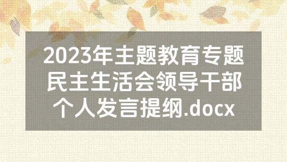 2023年主题教育专题民主生活会领导干部个人发言提纲.docx