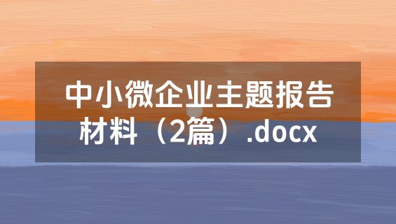 中小微企业主题报告材料（2篇）.docx