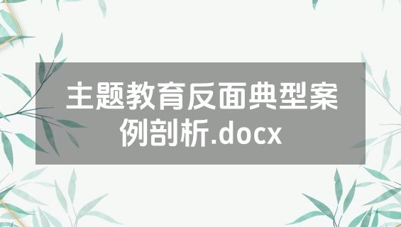 主题教育反面典型案例剖析.docx