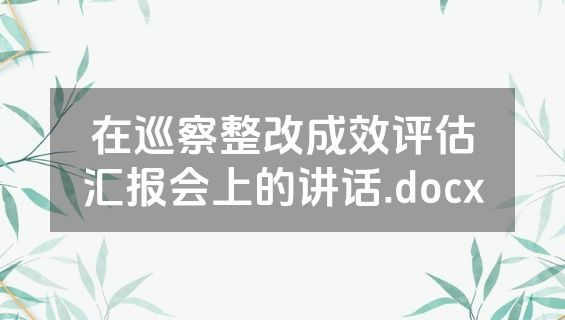 在巡察整改成效评估汇报会上的讲话.docx