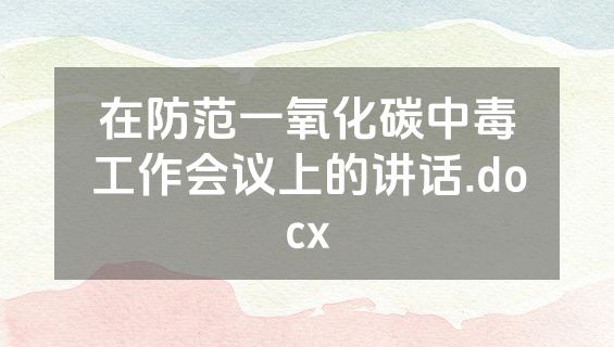在防范一氧化碳中毒工作会议上的讲话.docx