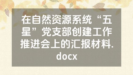 在自然资源系统“五星”党支部创建工作推进会上的汇报材料.docx
