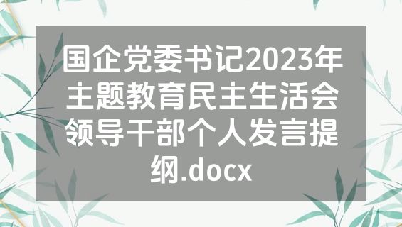 国企党委书记2023年主题教育民主生活会领导干部个人发言提纲.docx