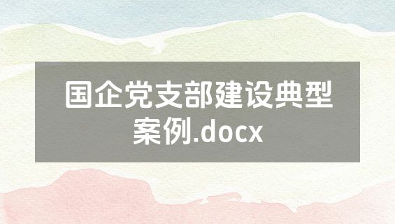 国企党支部建设典型案例.docx