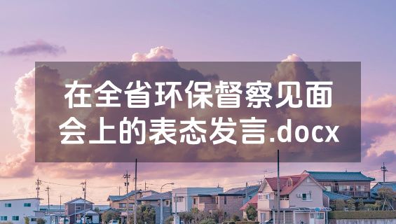 在全省环保督察见面会上的表态发言.docx