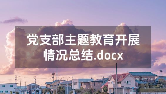 党支部主题教育开展情况总结.docx