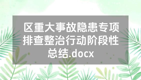 区重大事故隐患专项排查整治行动阶段性总结.docx