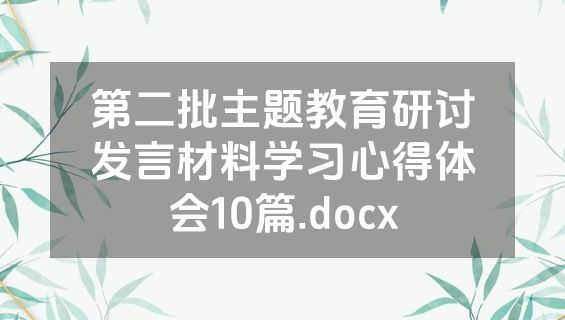 第二批主题教育研讨发言材料学习心得体会10篇.docx