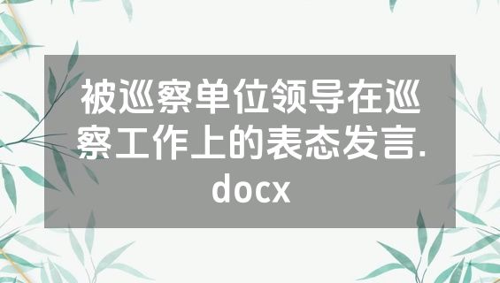 被巡察单位领导在巡察工作上的表态发言.docx