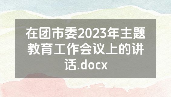 在团市委2023年主题教育工作会议上的讲话.docx
