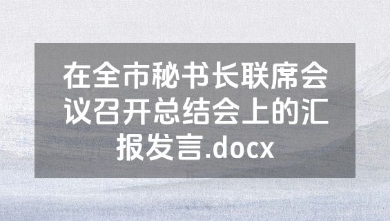 在全市秘书长联席会议召开总结会上的汇报发言.docx