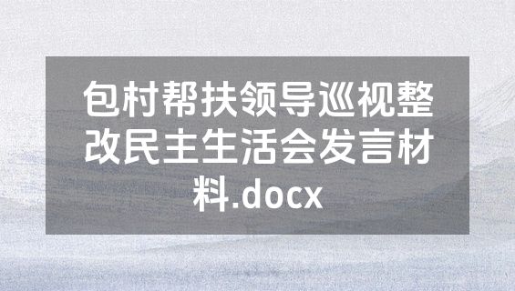 包村帮扶领导巡视整改民主生活会发言材料.docx